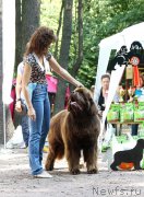 Превью фото № 131954