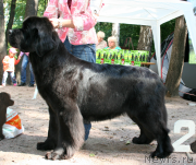 Превью фото № 131957