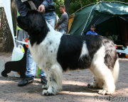 Превью фото № 131961