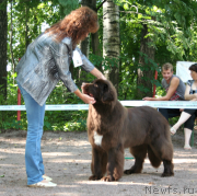 Превью фото № 131963