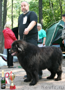 Превью фото № 131965