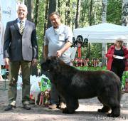 Превью фото № 131969