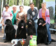 Превью фото № 131974