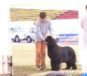 Превью фото № 132028