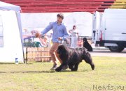 Превью фото № 132029