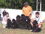 Превью фото № 132037