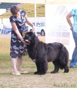 Превью фото № 132040