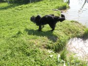 Превью фото № 132087