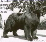 Превью фото № 1321