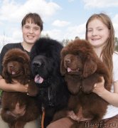 Превью фото № 132112