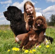 Превью фото № 132113