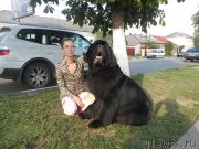 Превью фото № 132119