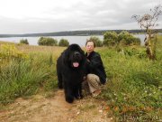 Превью фото № 132122