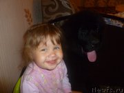 Превью фото № 132132