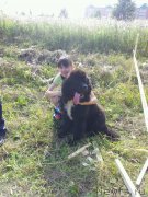 Превью фото № 132170