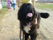 Превью фото № 132173