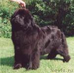 Превью фото № 1322