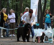 Превью фото № 132235