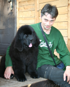 Превью фото № 132255