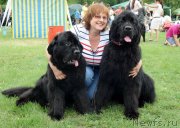 Превью фото № 132262