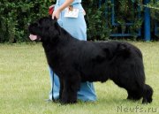 Превью фото № 132264