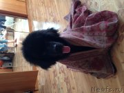 Превью фото № 132267