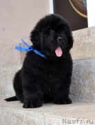 Превью фото № 132284