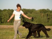 Превью фото № 132296