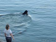 Превью фото № 132322