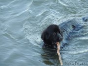 Превью фото № 132329