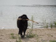 Превью фото № 132330