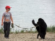 Превью фото № 132335