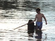 Превью фото № 132336