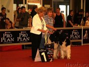 Превью фото № 132366