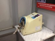 Превью фото № 132442