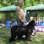 Превью фото № 13251