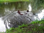 Превью фото № 132511