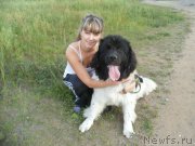 Превью фото № 132632