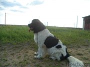 Превью фото № 132633