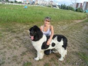 Превью фото № 132634