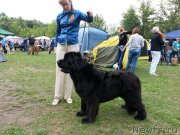 Превью фото № 132653