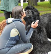 Превью фото № 132725