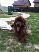 Превью фото № 132726