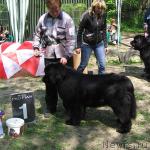 Превью фото № 13275