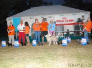 Превью фото № 132768