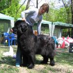 Превью фото № 13278