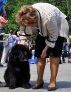 Превью фото № 132787