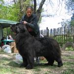 Превью фото № 13279