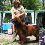 Превью фото № 13282