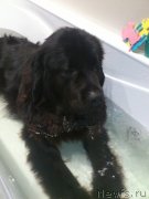 Превью фото № 132825